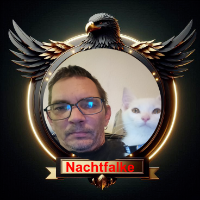 Nachtfalke